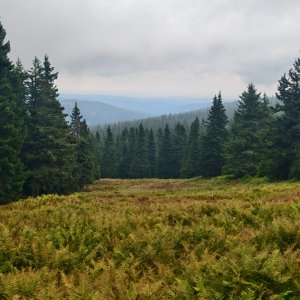 Praděd - Temná
