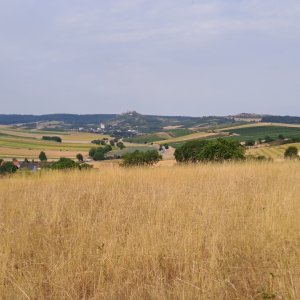 Falkenstein
