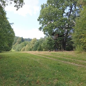Bačův kopec (498)