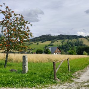 Paseky nad Jizerou → Rokytnice nad Jizerou