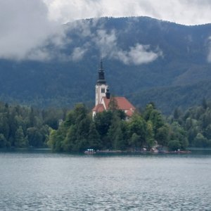 Bled
