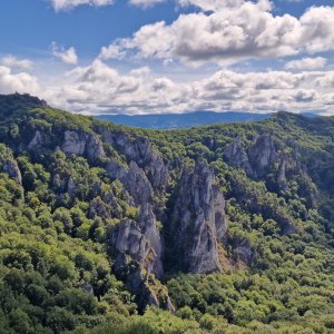 Roháč, Brada