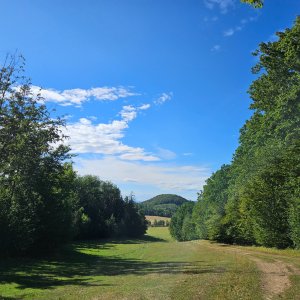 Rožnovská brázda