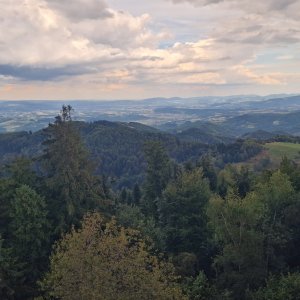 Przysłop, Cerchla, Błyszcz, Jaworzyna, Koniarz