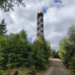 Jitrovník