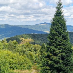 Jaworzynka, Gorc Troszacki a Kudloń