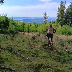 Šumava