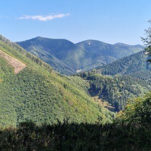 Kýčera