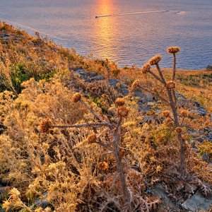 Kaleköy (88 m)
