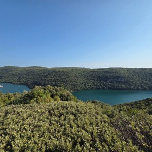 Kozarica, Limski kanal 🇭🇷 Walk