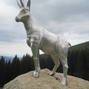 Jeseníky: Šerák