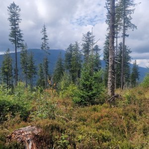 Sihlec a Hlavniak