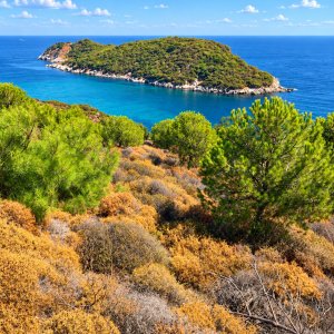 Abroz (55 m)