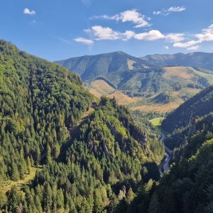 Mních