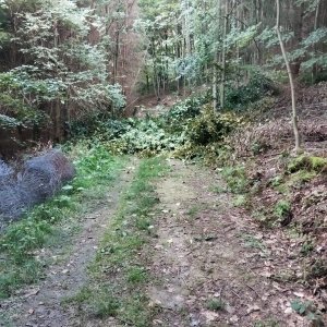 Podbeskydská pahorkatina