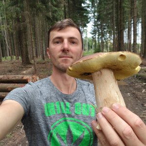 Zábřežská vrchovina