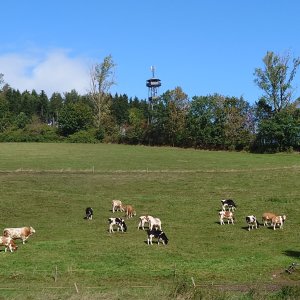 Kegelsberg