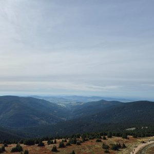 Králičák