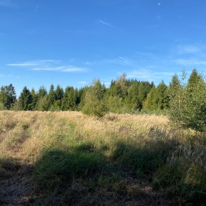 Podbeskydská pahorkatina
