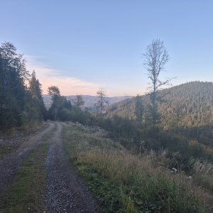 Polana