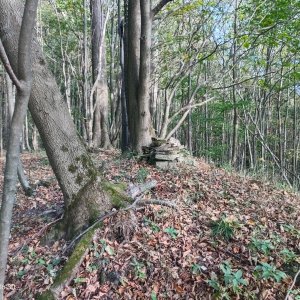 Podbeskydská pahorkatina
