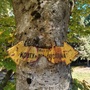 Švýcárna - Kouty nad Desnou 