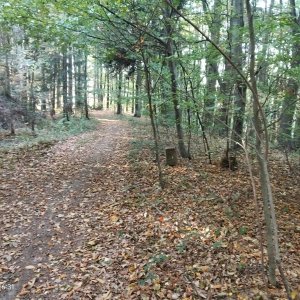 Podbeskydská pahorkatina