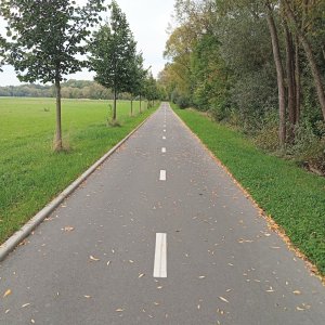Výzva 10 000 kroků