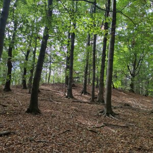 Ještědsko-kozákovský hřbet