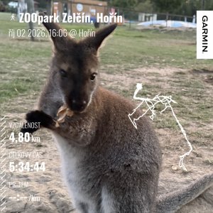 ZOOPARK ZELČÍN_Odpolední chůze