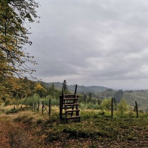Ostružná z Chlebovic