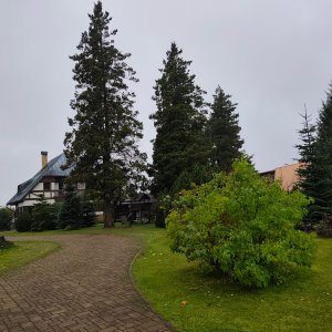 Vysoké nad Jizerou