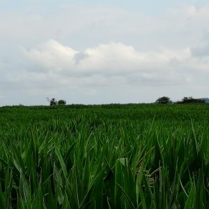Benešovská pahorkatina