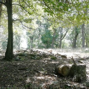 Malé Karpaty