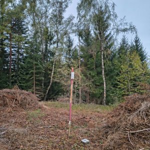 Hostýnsko-vsetínská hornatina