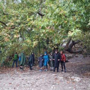  Turecko: Yaylakuzdere-Beycik