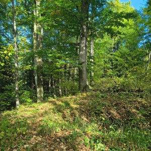 Podbeskydská pahorkatina