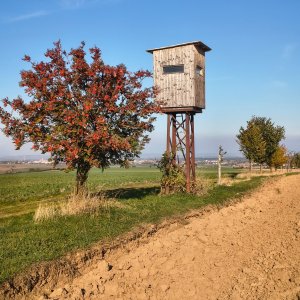 Litenčická pahorkatina