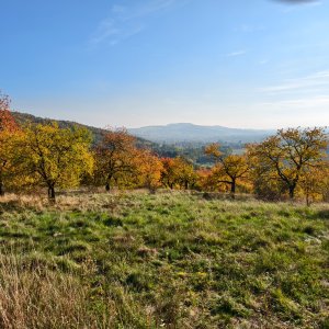 Podorlická pahorkatina