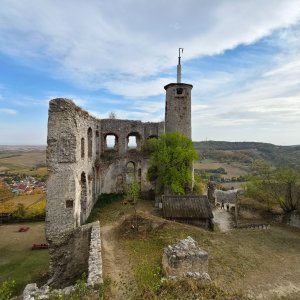 Rakouské vinice