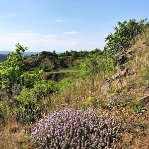 Vinařická-Na Rovinách
