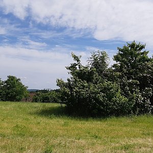 Bambaska,  Na domku