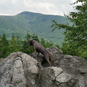 Lysá hora (20) z Ostravice