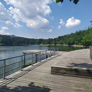 Morning Walk