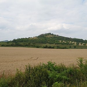 Kvítel