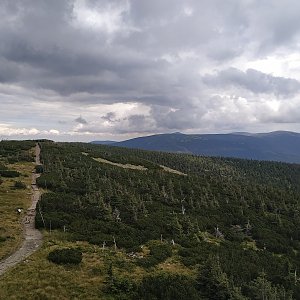 Hřebenovka Krkonoše