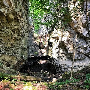 Rasova rokle