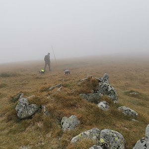 Ďurková z Partizánske Ľupče