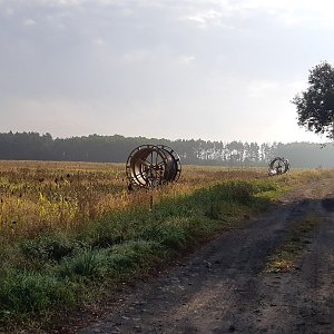 Polabí
