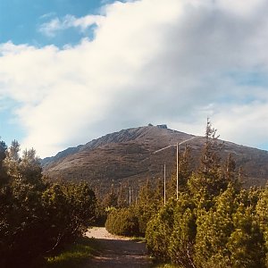 Afternoon Run